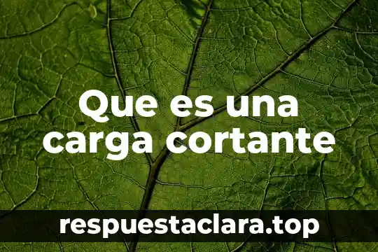 Que es una carga cortante