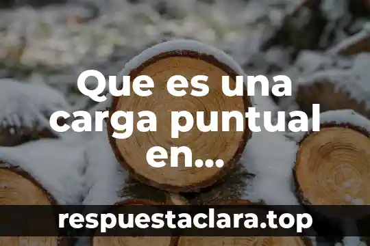 Que es una carga puntual en arquitectura