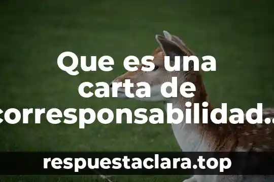 Que es un momento en ingenieria civil 4 Que es una carta de corresponsabilidad en proteccion civil