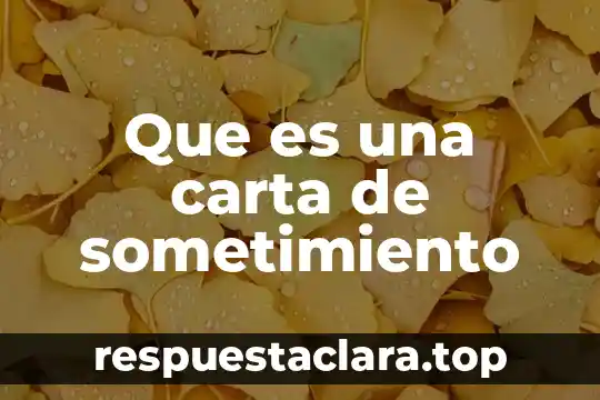 Que es una carta de sometimiento