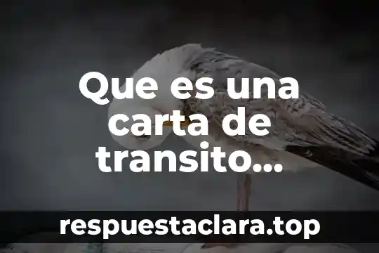 Que es una carta de transito importacion