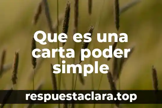 Que es una carta poder simple