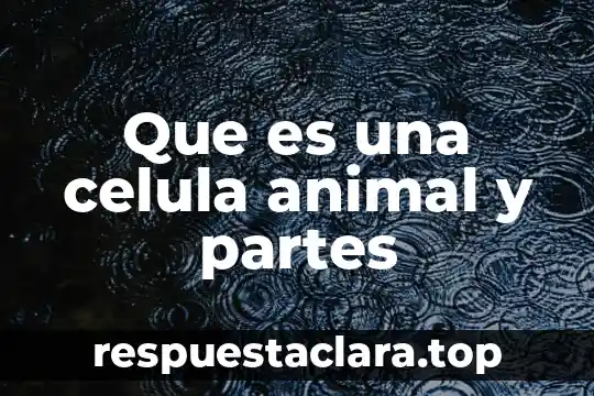 Qué es Prezi y sus partes 5 Que es una celula animal y partes