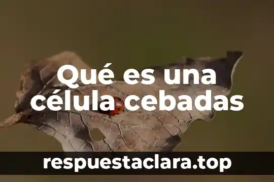 Qué es una célula cebadas
