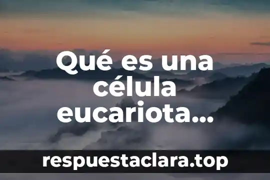Qué es una célula eucariota animal