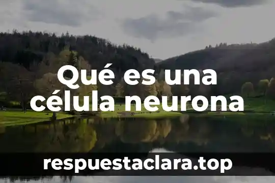 Qué es una célula neurona