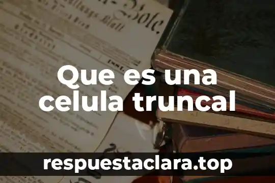 Qué es un burgo significado 8 Que es una celula truncal