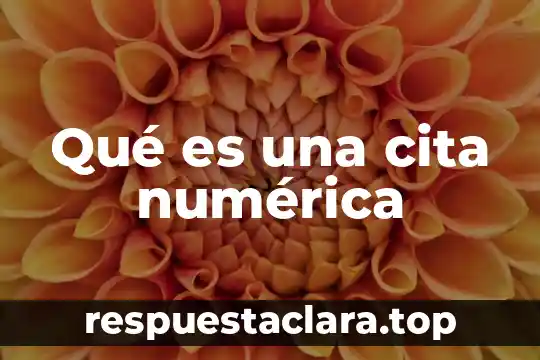 Qué es una cita numérica
