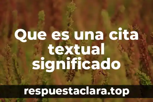 Qué es el sistema de arranque de un vehículo significado 6 Que es una cita textual significado