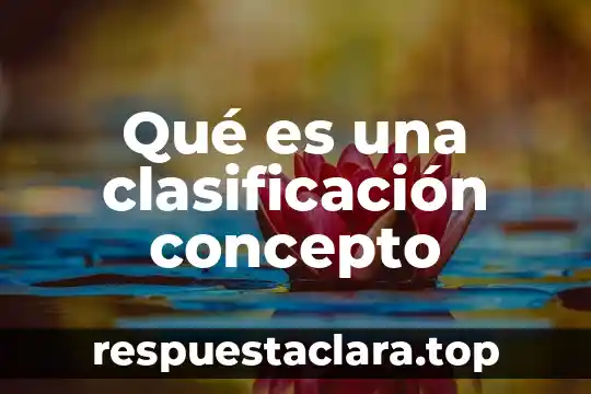 Qué es una clasificación concepto