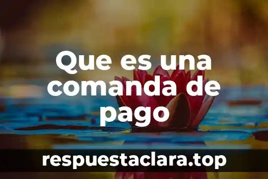 Que es el pago de indebido 5 Que es una comanda de pago