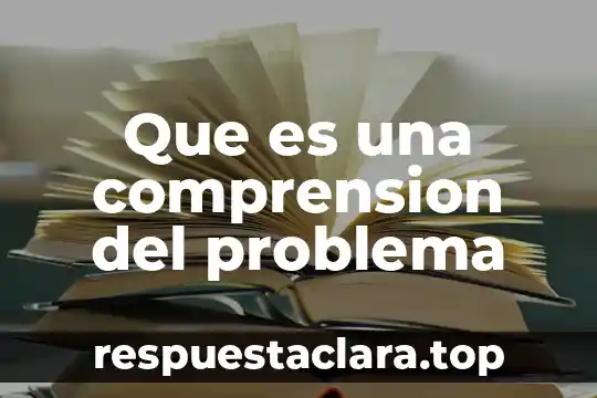 Que es una comprension del problema