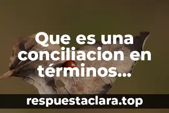 Que es una conciliacion en términos financieros