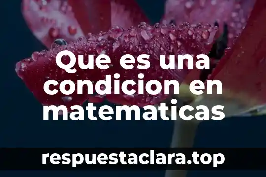 Que es condicion meteorologica donde hay nubes y sol 5 Que es una condicion en matematicas