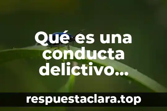 Qué es una conducta delictivo concepto