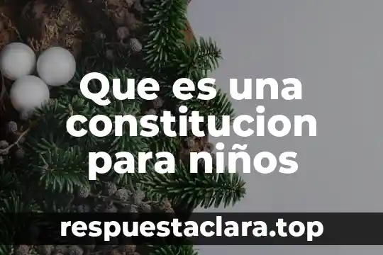 Que es una constitucion para niños