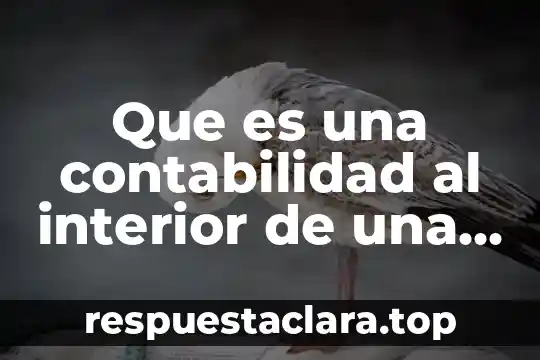 Que es el presupuesto maestro en contabilidad 5 Que es una contabilidad al interior de una empresa