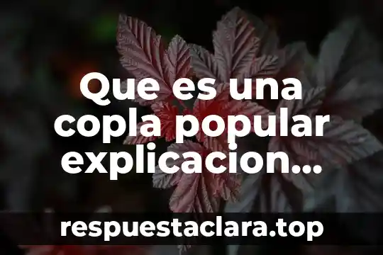 Que es una copla significado para niños de primaria 6 Que es una copla popular explicacion para niños