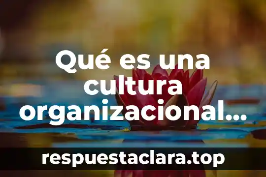 Que es la cultura mediata 6 Qué es una cultura organizacional en una empresa