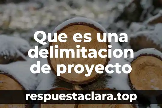 Que es una delimitacion de proyecto