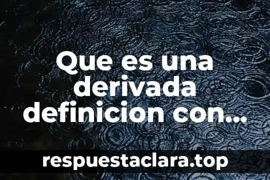 Que es una derivada definicion con bibliografia