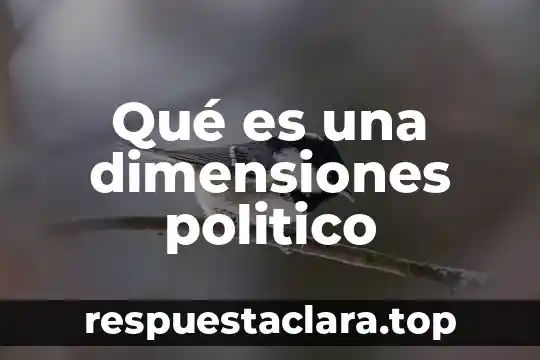 Qué es una dimensiones politico