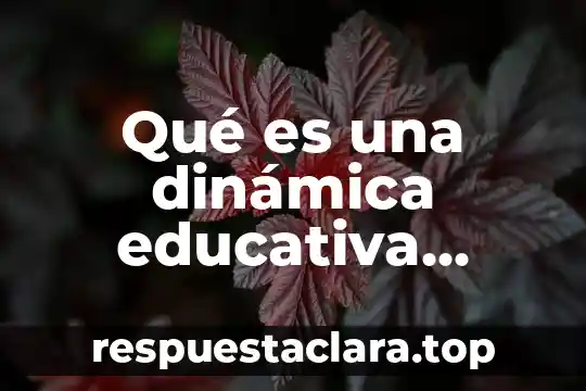 Espacio forestal que es significado y concepto 8 Qué es una dinámica educativa concepto