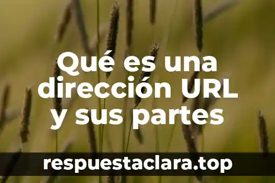 Qué es una dirección URL y sus partes