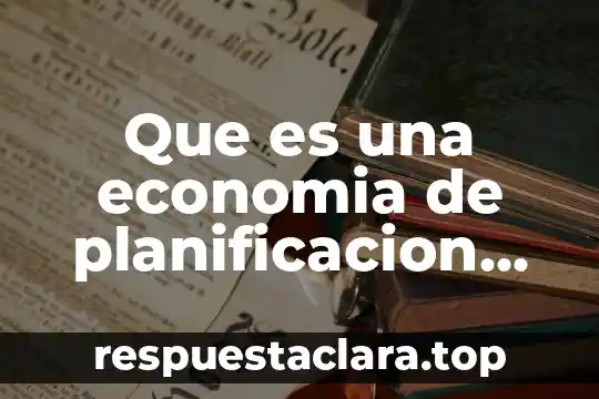 Que es una economia de planificacion inductiva