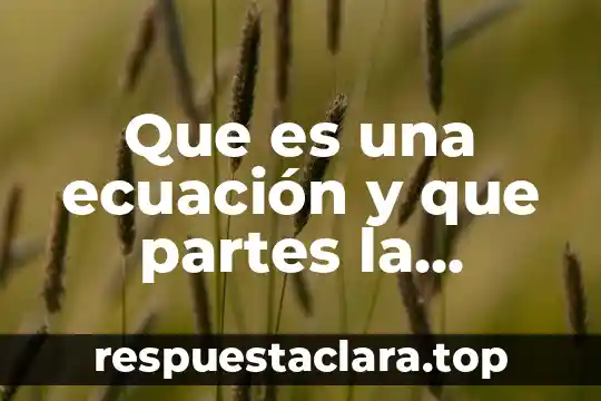 Que es integracio por partes 4 Que es una ecuación y que partes la conforman