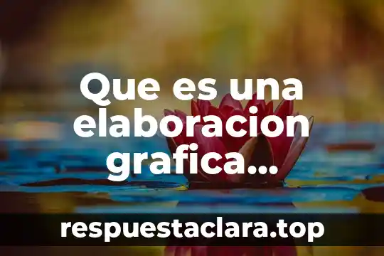 Que es una elaboracion grafica hablando matematicamente