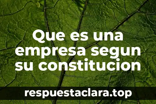 Que es una empresa segun su constitucion