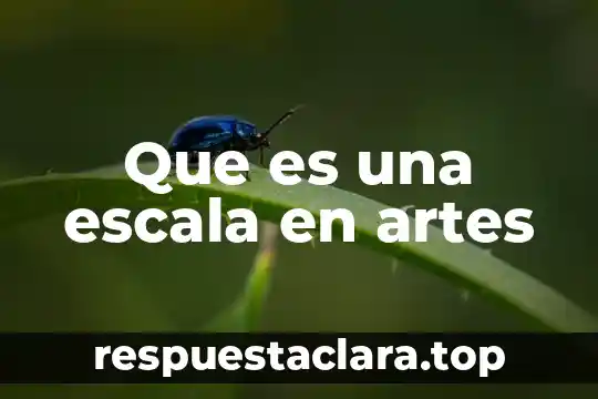 Fideicomiso para la cultura y las artes que es 6 Que es una escala en artes