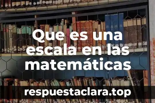 Que es significado y relaciones 7 Que es una escala en las matemáticas