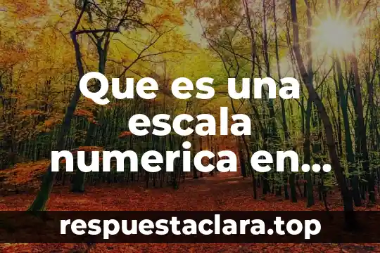 Que es una escala numerica en un mapa