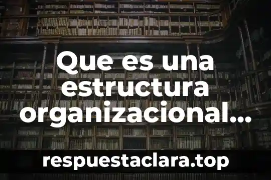 Que es una estructura organizacional dominante