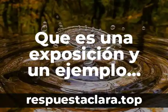 Que es el catálogo de disposición documental 4 Que es una exposición y un ejemplo documental