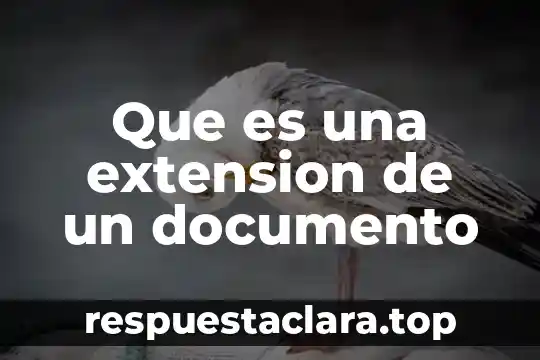 Información que es guardada con un nombre y extensión 3 Que es una extension de un documento