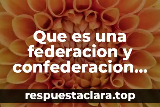 Que es una federacion y confederacion ley federal del trabajo