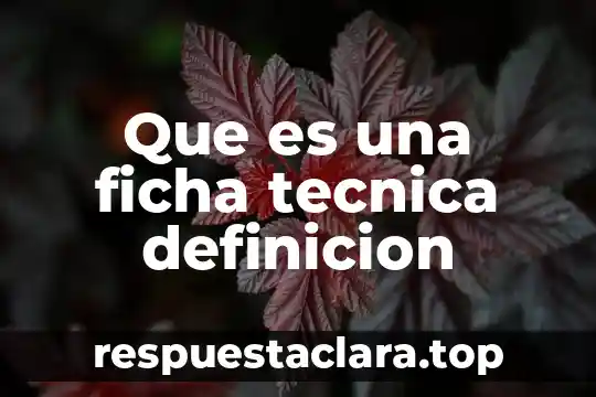 Que es una ficha tecnica definicion