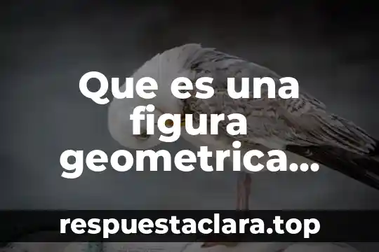 Que es una figura geometrica informatica