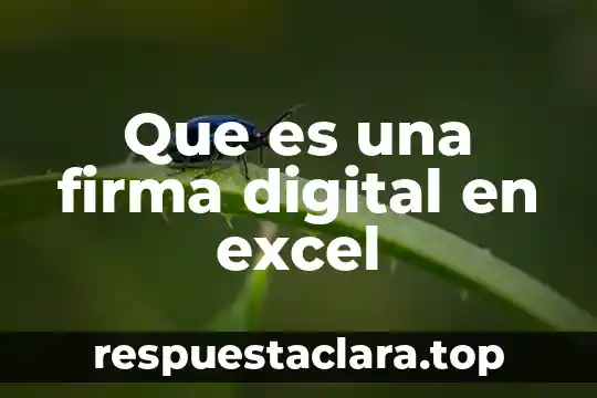 Qué es una firma no electrónica 6 Que es una firma digital en excel