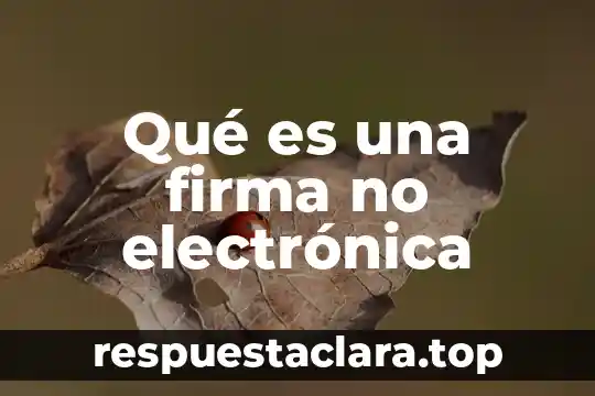 Que es la firma de un objeto 5 Qué es una firma no electrónica