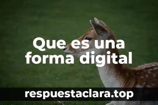 Que es un significado adquirido 5 Que es una forma digital