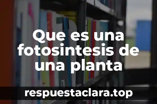 Qué es una planta acalina 6 Que es una fotosintesis de una planta