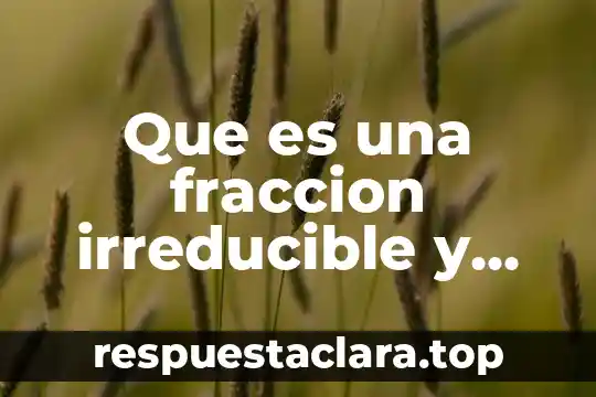 Que es una fracción y su definición corta 3 Que es una fraccion irreducible y cómo se calcula