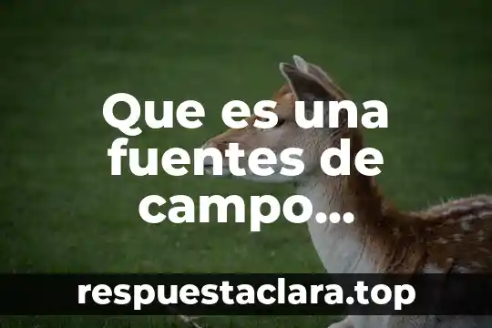 Que es una fuentes de campo magnético