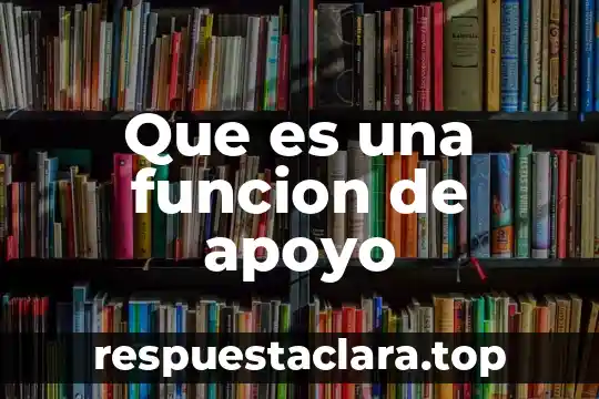 Que es una funcion de apoyo