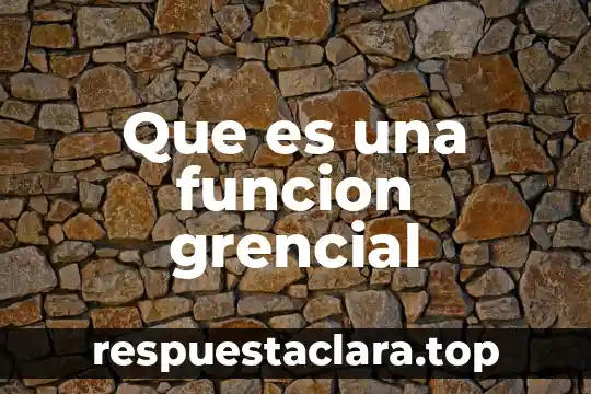 Que es el humor vitreo y que funcion cumple 6 Que es una funcion grencial