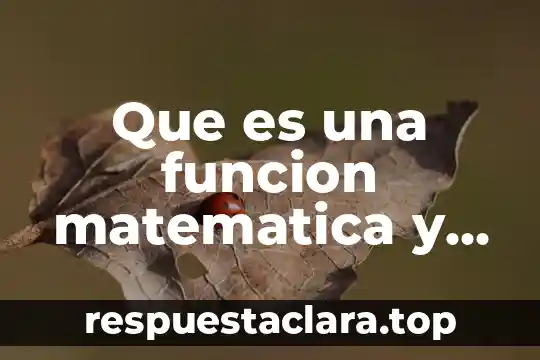 Que es una funcion matematica y como se clasifican